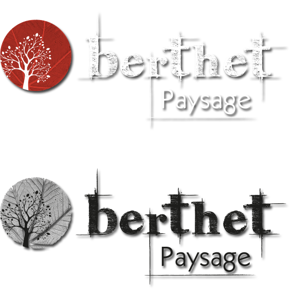Logo Berthet